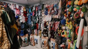 Rekomendasi Bisnis Modal 10 Juta Omset Ratusan Juta