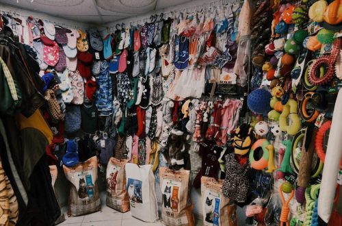 Rekomendasi Bisnis Modal 10 Juta Omset Ratusan Juta