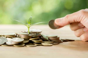 Strategi Investasi dengan Potensi Tinggi Perlu Diketahui
